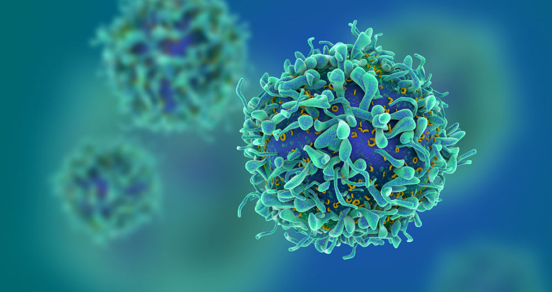 removing ptpn2 gene can boost anti cancer immunity