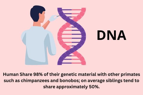 DNA statistics