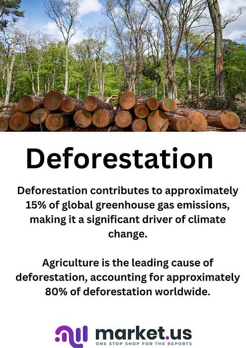 Deforestation Statistics 2024 By Loss, Action, Development