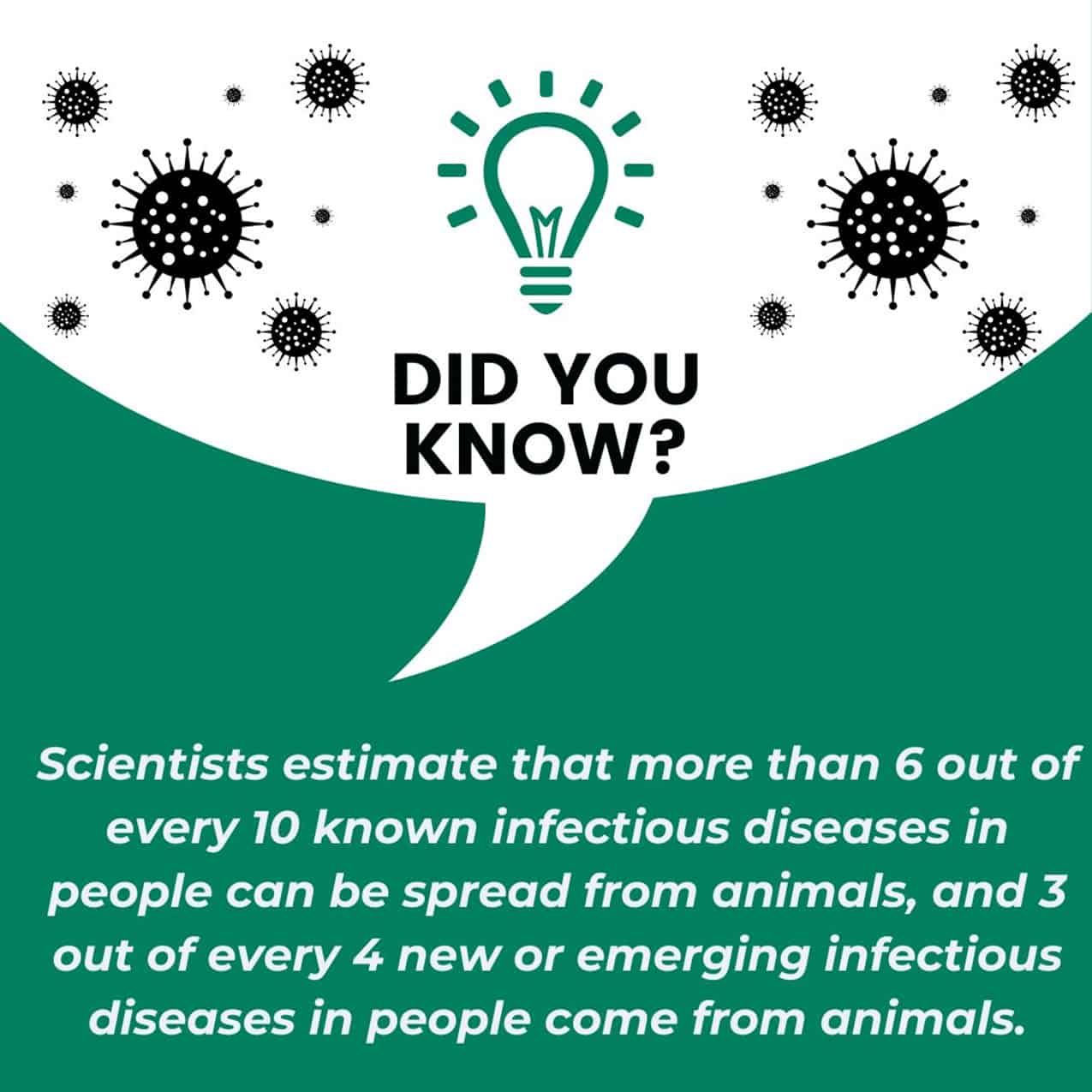Zoonotic Diseases Statistics
